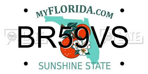 BR59VS Florida License Plate