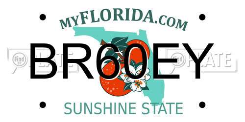 BR60EY Florida License Plate