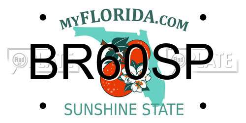 BR60SP Florida License Plate