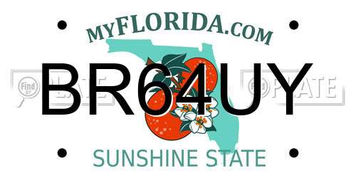 BR64UY Florida License Plate