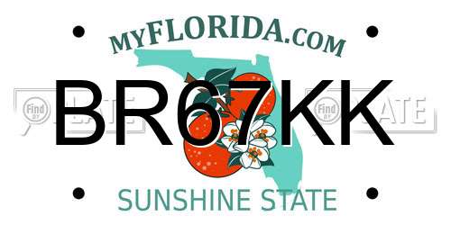 BR67KK Florida License Plate