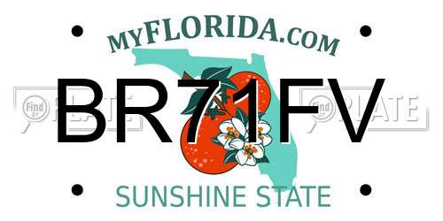 BR71FV Florida License Plate