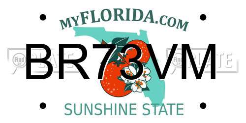 BR73VM Florida License Plate