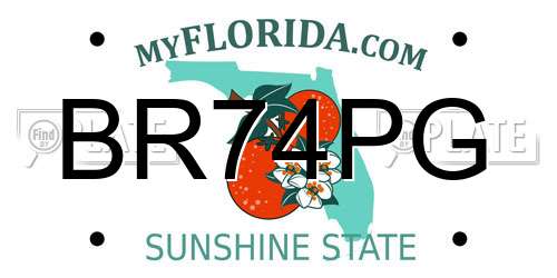 BR74PG Florida License Plate