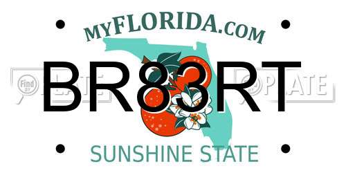 BR83RT Florida License Plate
