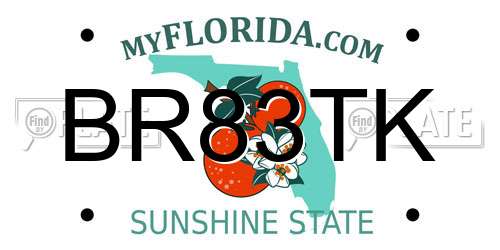 BR83TK Florida License Plate