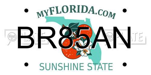 BR85AN Florida License Plate