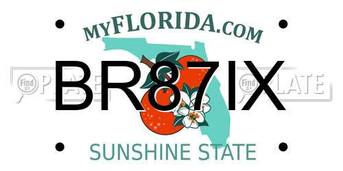 BR87IX Florida License Plate