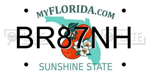 BR87NH Florida License Plate