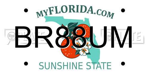 BR88UM Florida License Plate