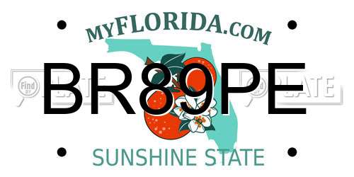 BR89PE Florida License Plate