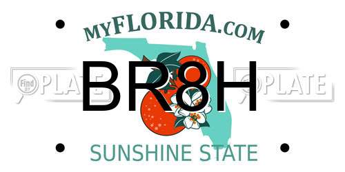 BR8H Florida License Plate