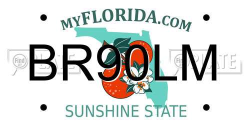 BR90LM Florida License Plate
