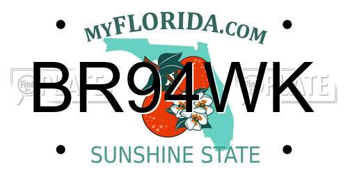 BR94WK Florida License Plate