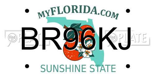 BR96KJ Florida License Plate