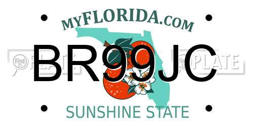 BR99JC Florida License Plate