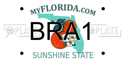 BRA1 Florida License Plate