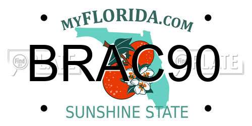 BRAC90 Florida License Plate