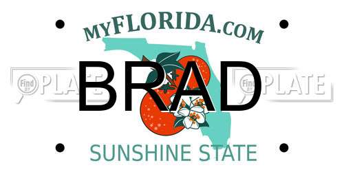 BRAD Florida License Plate