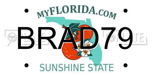 BRAD79 Florida License Plate