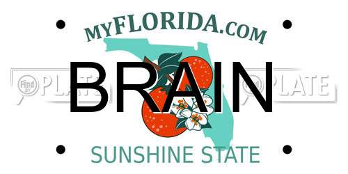 BRAIN Florida License Plate