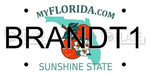 BRANDT1 Florida License Plate