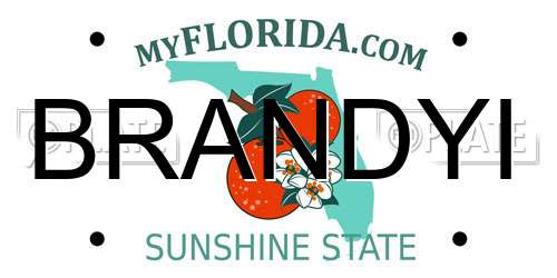 BRANDYI Florida License Plate