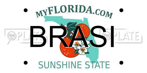 BRASI Florida License Plate