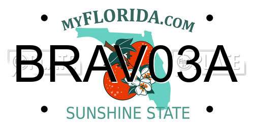 BRAV03A Florida License Plate