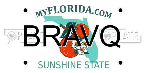 BRAVQ Florida License Plate