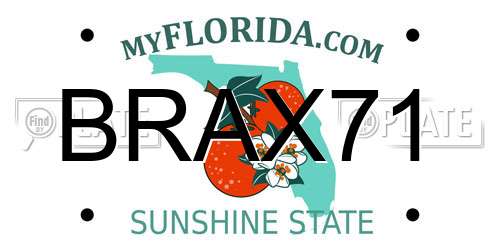 BRAX71 Florida License Plate