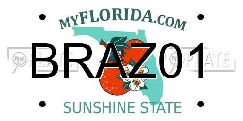 BRAZ01 Florida License Plate