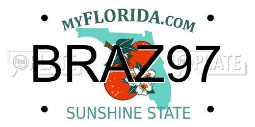BRAZ97 Florida License Plate