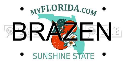 BRAZEN Florida License Plate