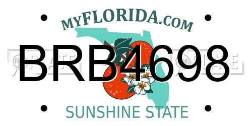 BRB4698 Florida License Plate