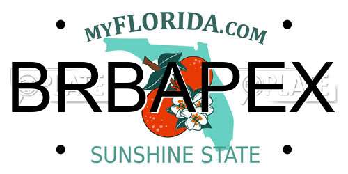BRBAPEX Florida License Plate