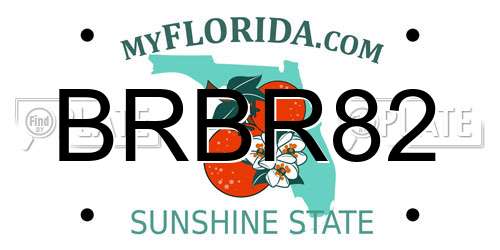 BRBR82 Florida License Plate