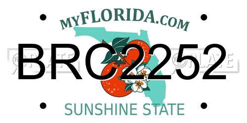 BRC2252 Florida License Plate