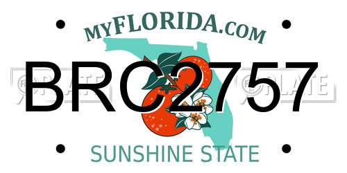BRC2757 Florida License Plate