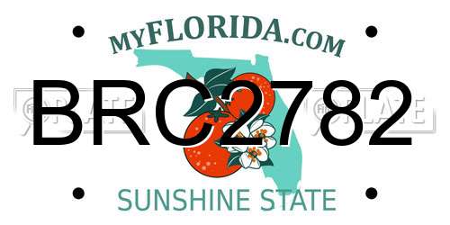 BRC2782 Florida License Plate