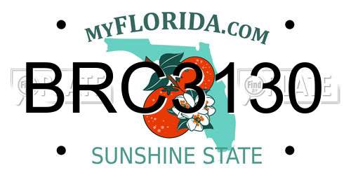 BRC3130 Florida License Plate