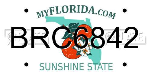BRC6842 Florida License Plate