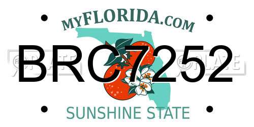 BRC7252 Florida License Plate