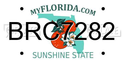 BRC7282 Florida License Plate