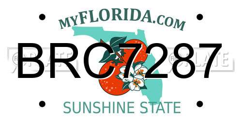 BRC7287 Florida License Plate