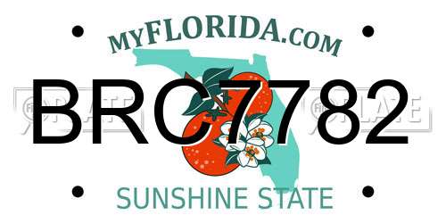 BRC7782 Florida License Plate