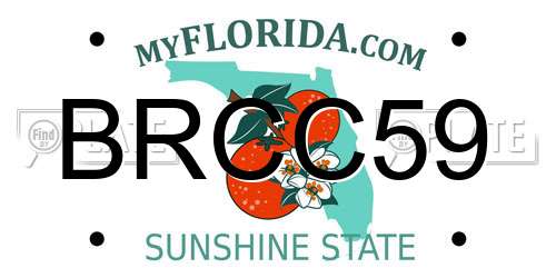 BRCC59 Florida License Plate
