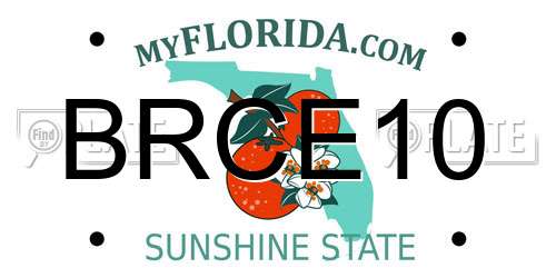 BRCE10 Florida License Plate