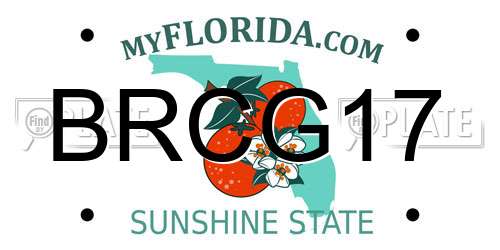 BRCG17 Florida License Plate