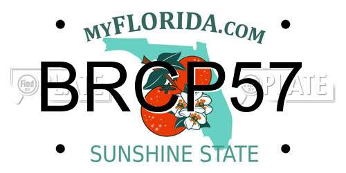BRCP57 Florida License Plate